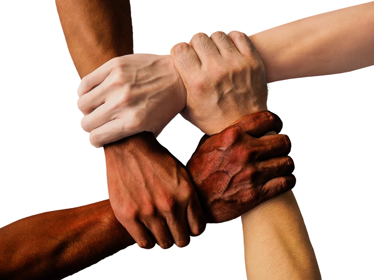 Erreur n°4 : le manque de diversité dans le profil de liens