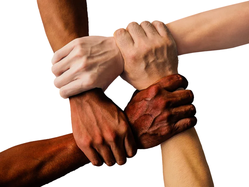 Erreur n°4 : le manque de diversité dans le profil de liens