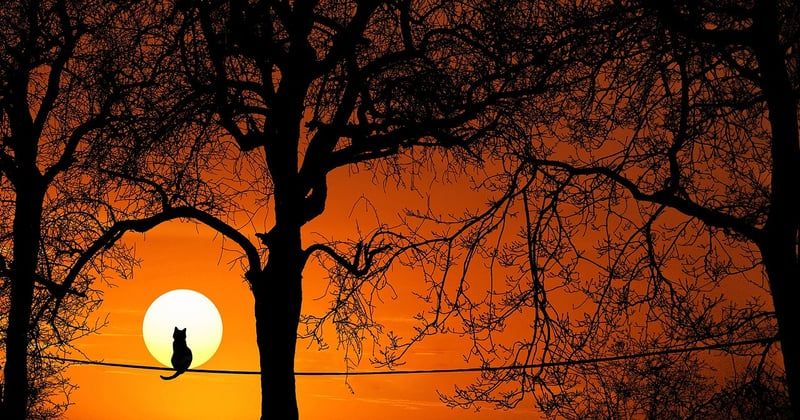 Mettre à jour un contenu SEO sans perdre son positionnement